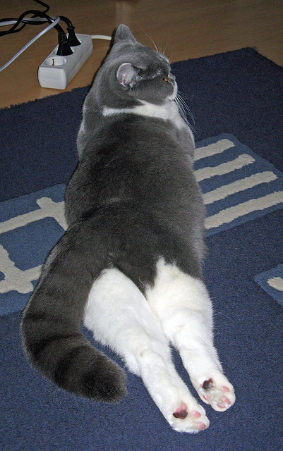 九游9游-【坎坷之路】马克·塞尔比从逆境到巅峰的心路历程，马克塞尔比历史地位