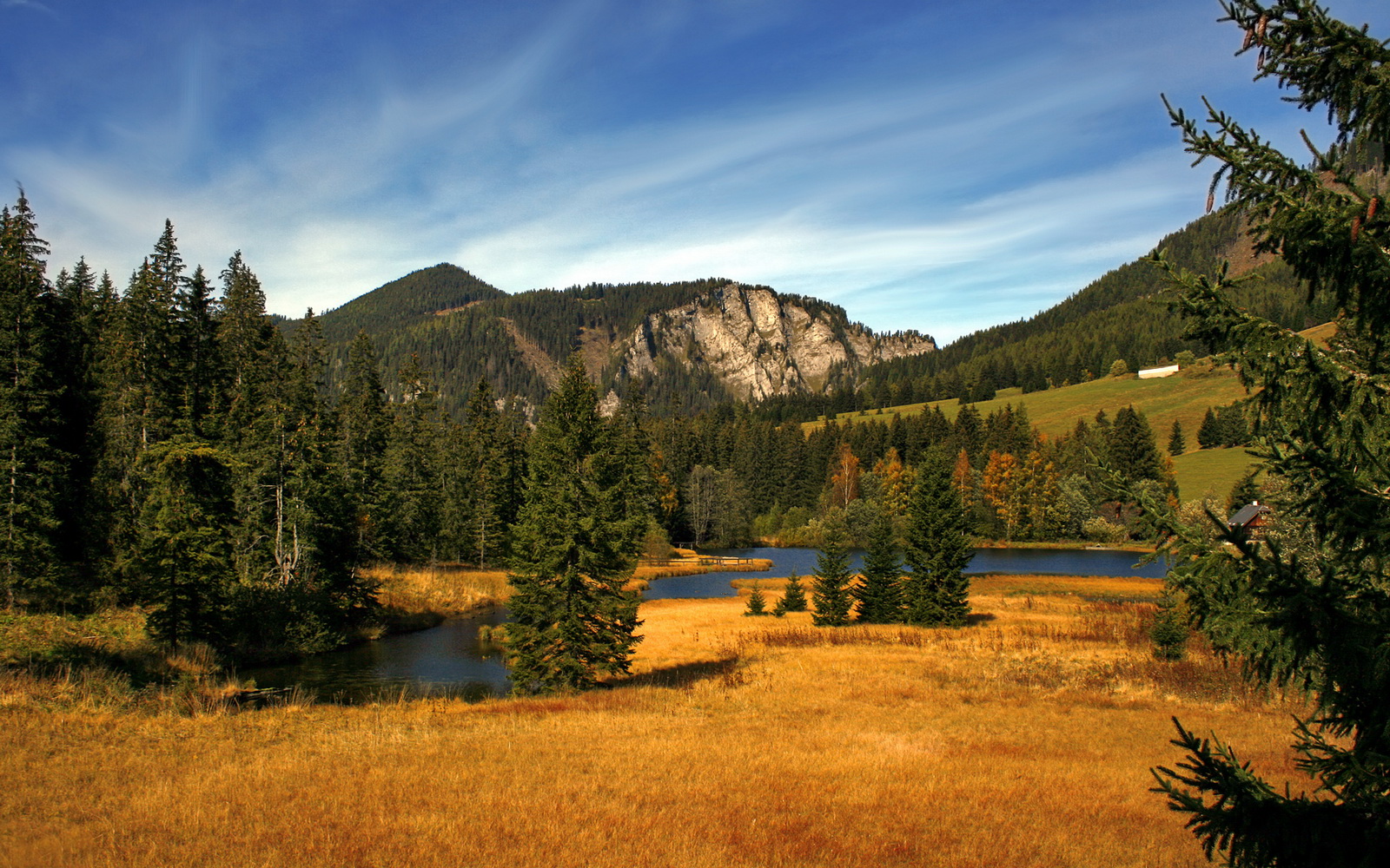 九游网页版官网-克罗地亚马术协会与兽医合作，开展马匹疾病预防与治疗研究。，克罗地亚 马可波罗