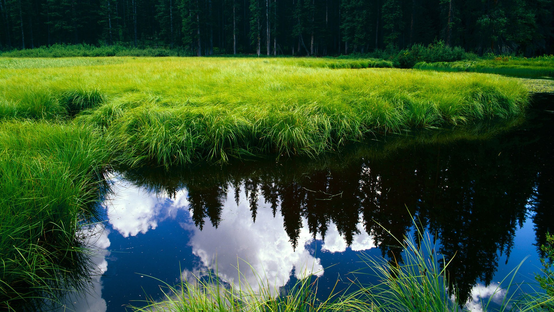 九游网页版官网入口-格拉纳达主场2-1战胜西班牙人，取得胜利，格拉纳达足球俱乐部