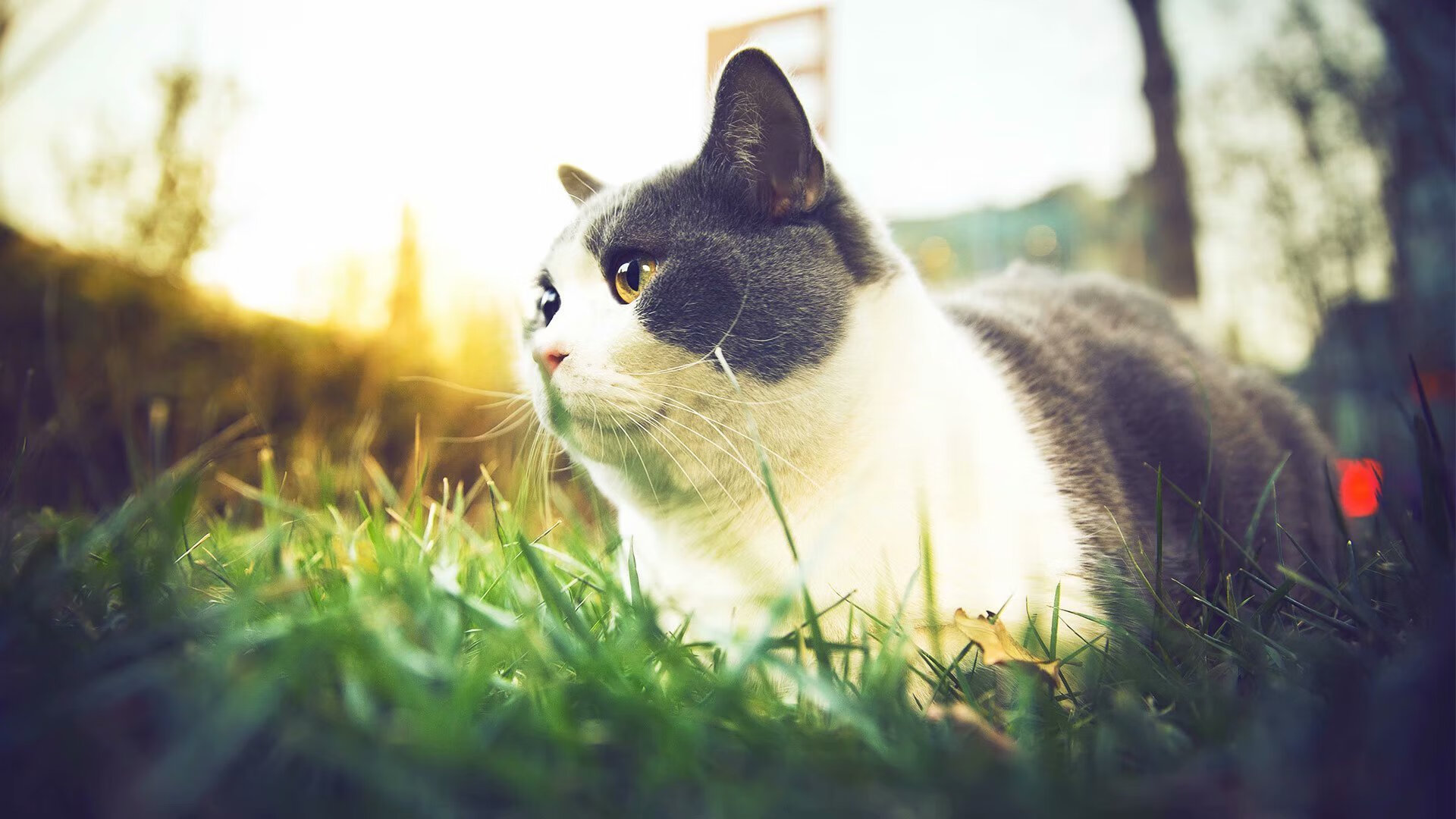 九游网页版官网-目标锁定胜利，女足比赛球队团结一心前行，女足小组出局