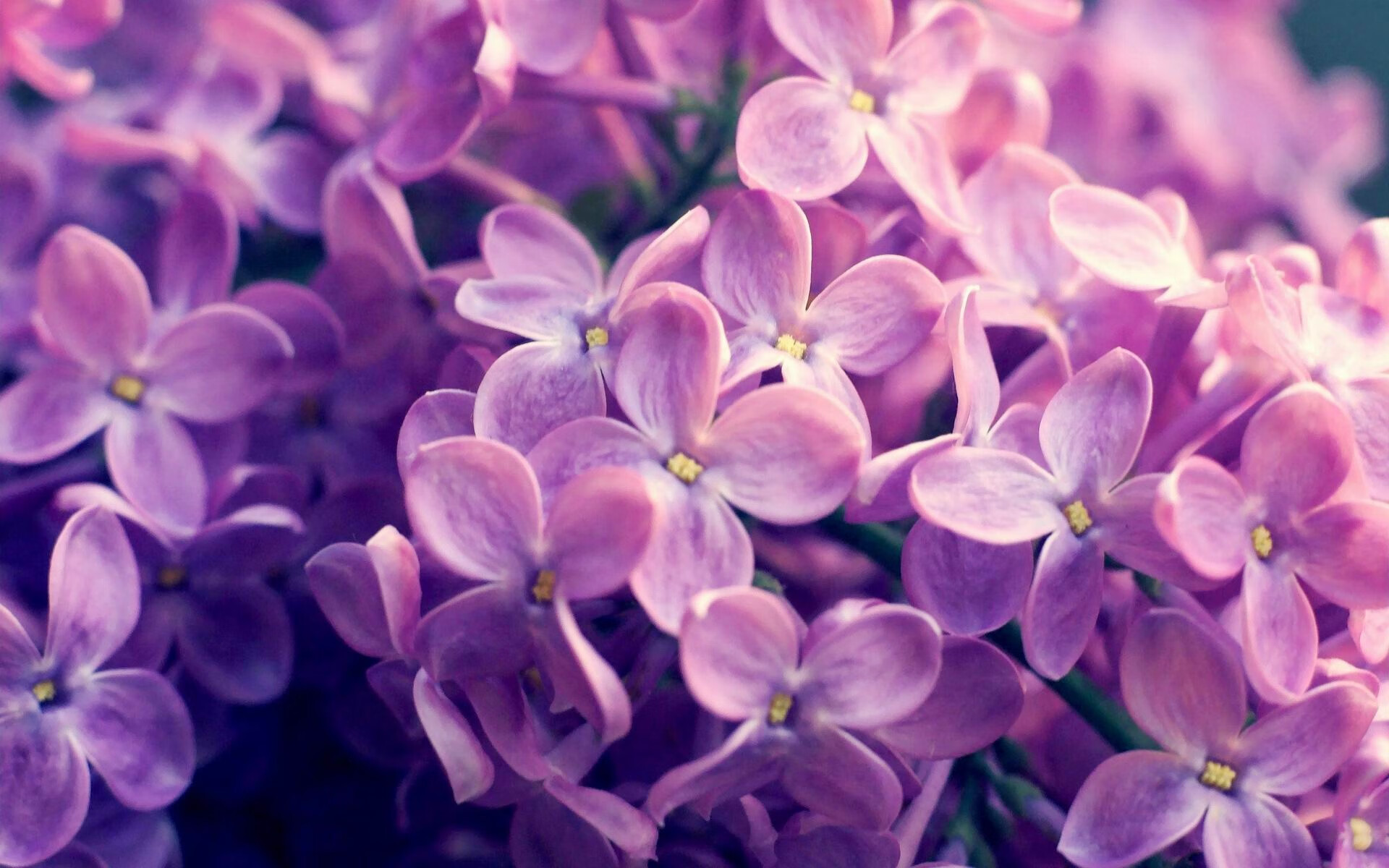 九游游戏中心官网-里昂调整战术阵型，里昂最佳阵容