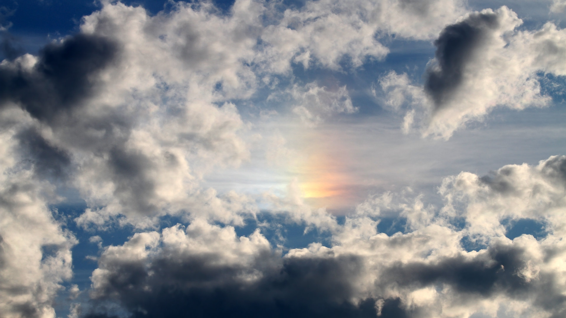 九游-青训体系国际化发展趋势，青训概念