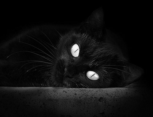 九游网页版官网入口-中国乒乓球名将回归助阵国家队集训，中国乒乓球队员回国了吗