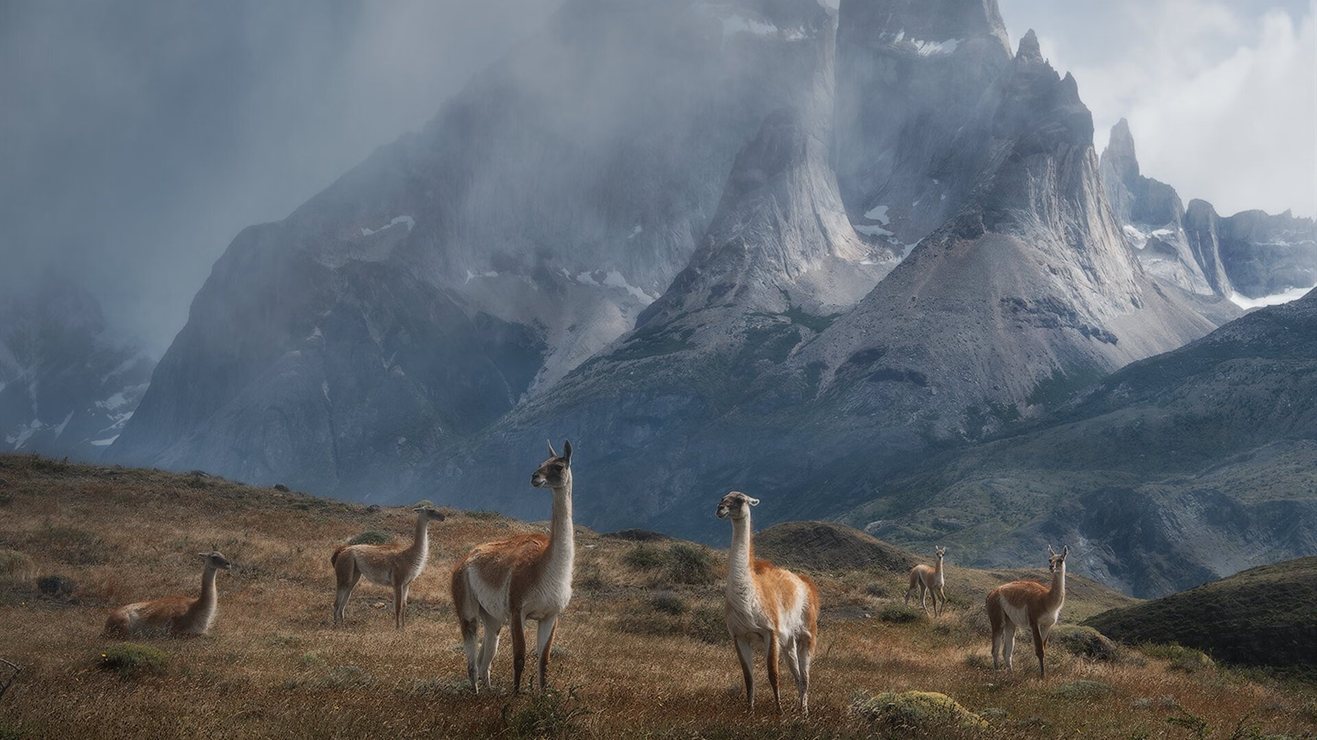 九游app官网下载-中国篮球推动篮球文化进社区活动丰富群众生活，篮球训练进社区方案