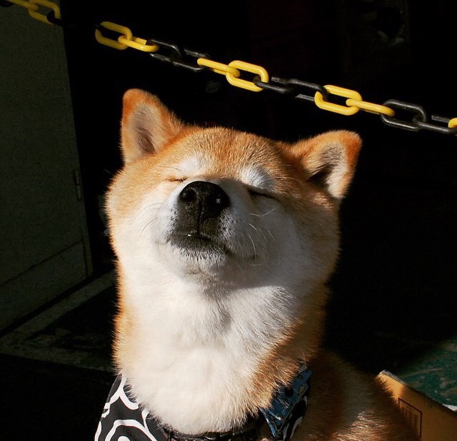 -女子篮球青训强调团队战术执行力提升整体实力，女子篮球训练计划项目