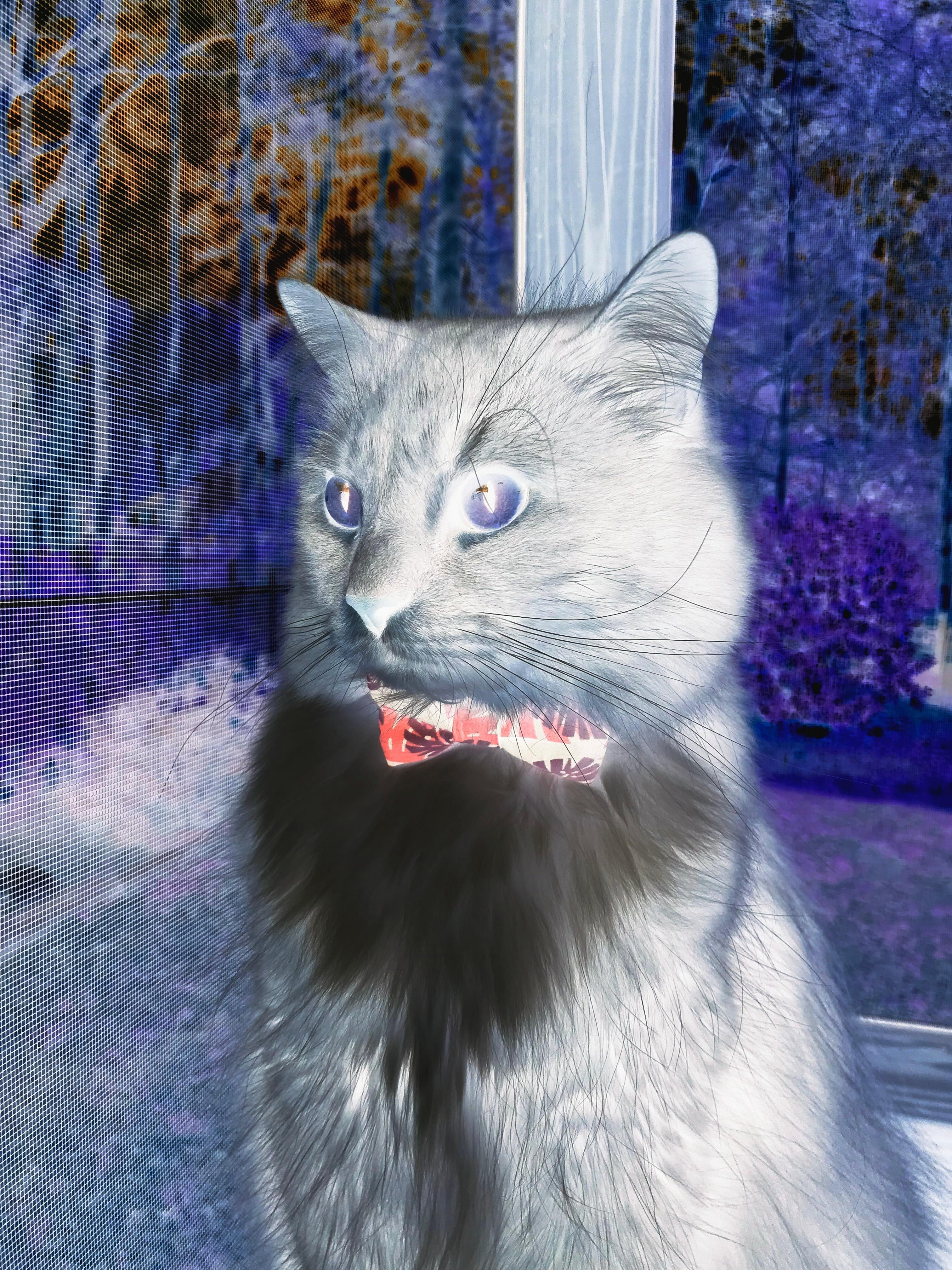 九游网页版官网-职业联赛推广健康饮食管理辅助体能恢复