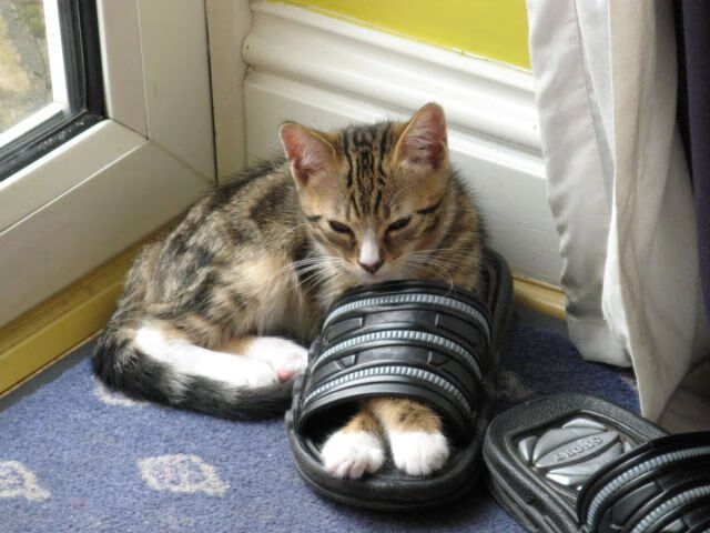 九游娱乐(jiuyou)官方网站-青少年体育训练基地扩建计划启动助力基层人才培养工程，全国青少年体育培训基地